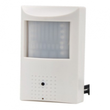 PIR Hidden IP Camera